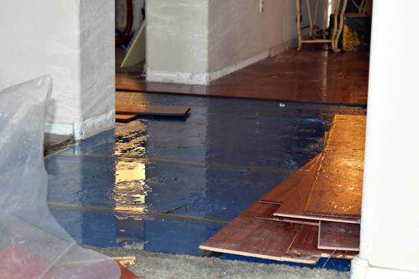 Professional Basement Flooding technician working in Industry, TX